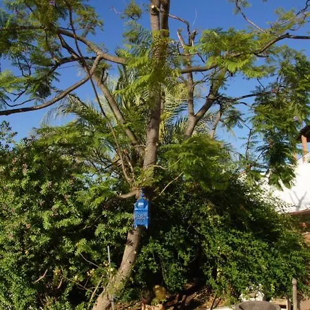 Casa Del Cielo Homestay