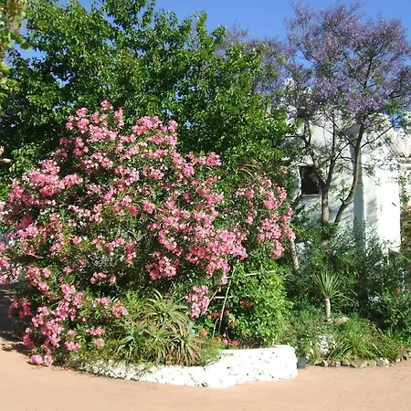 Casa Del Cielo